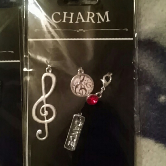 Assorted jewelry charms bundle. - Picture 3 of 7